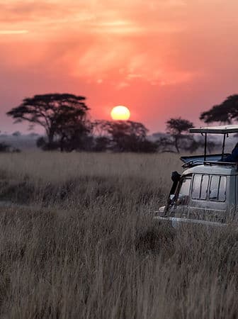 Game Drives for Kids